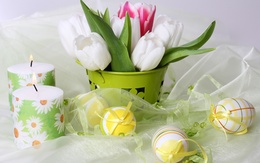 3d обои Тюльпаны яйца и свечи  цветы