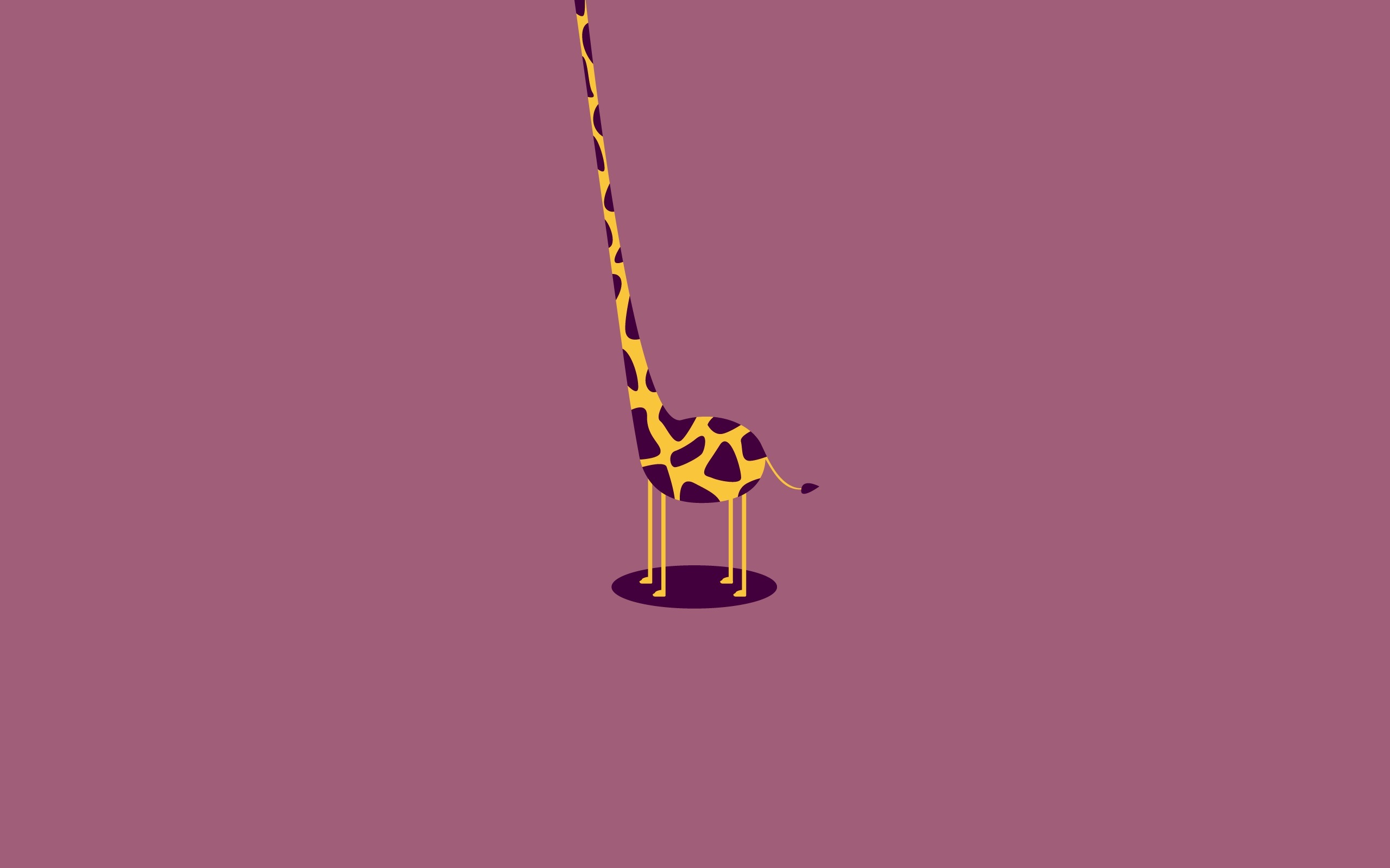 3d обои Длинношеий жираф  минимализм # 54559