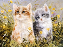 3d обои Котята в траве  цветы