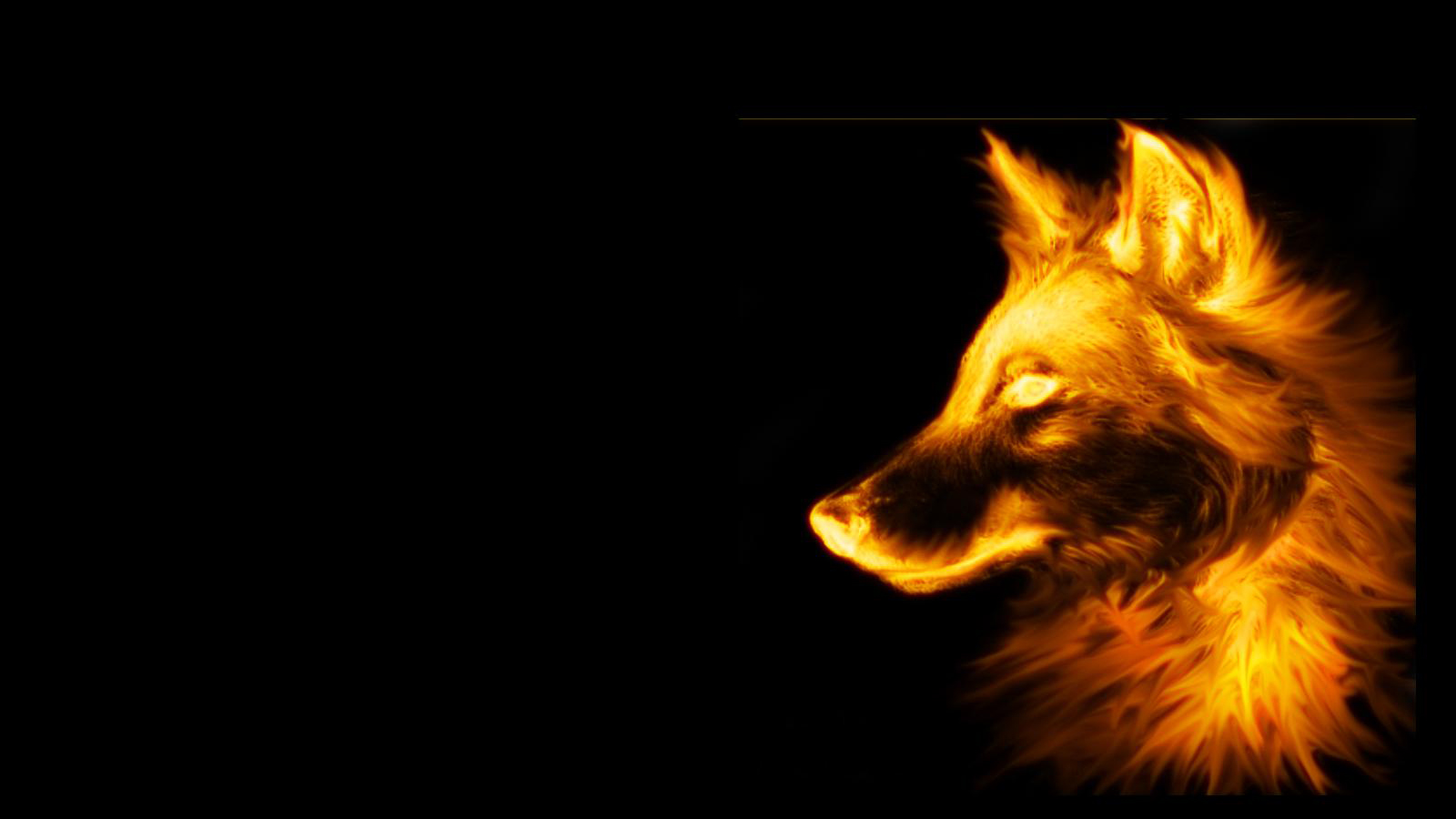 3d обои Огненный волк на чёрном фоне  волки # 23524