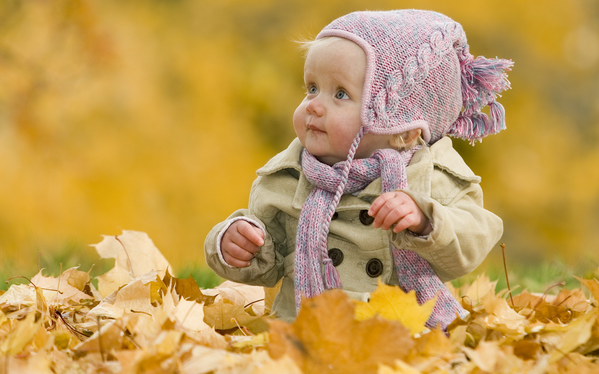3d обои Маленькая девочка сидит в жёлтых листьях  листья # 50878