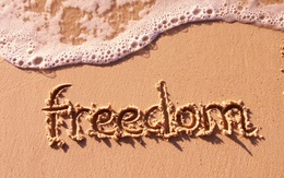 3d обои Freedom (свобода). Море. Пляж  1680х1050