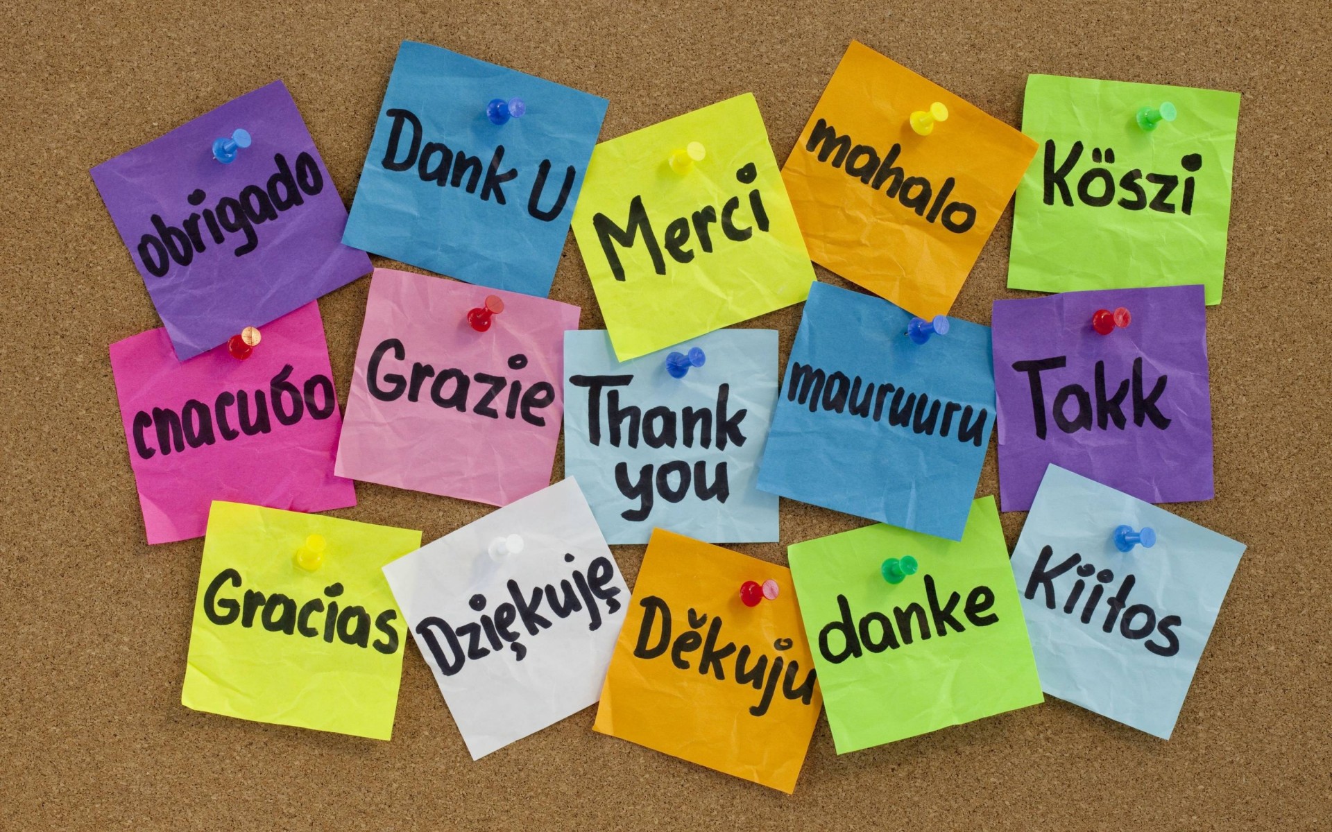 3d обои Слова благодарности на разных языках (obrigado, Dank U, Merci, mahalo, K  позитив # 68608
