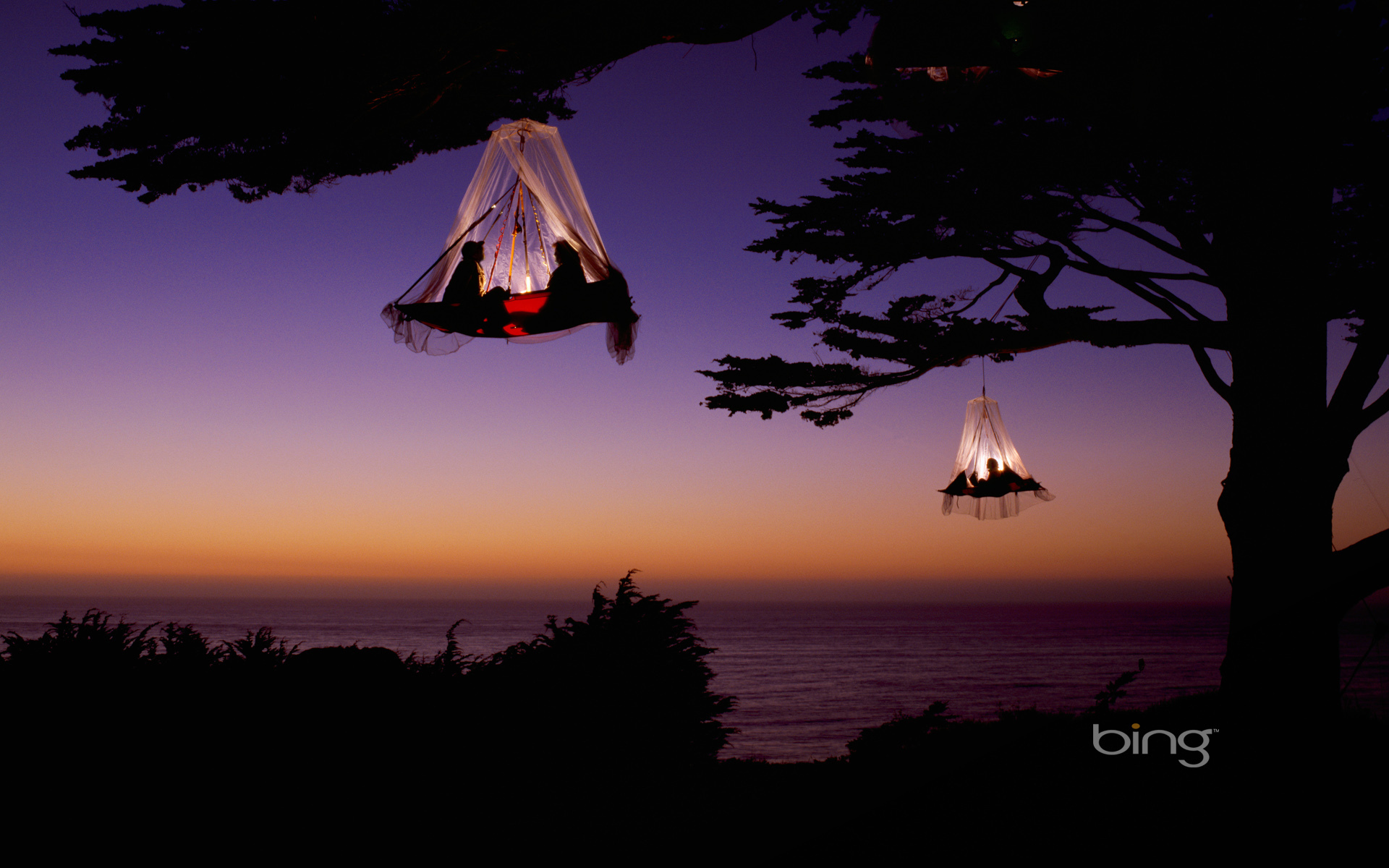 3d обои Подвесные дома на деревьях (Bing)  ночь # 67539