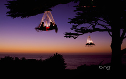 3d обои Подвесные дома на деревьях (Bing)  море