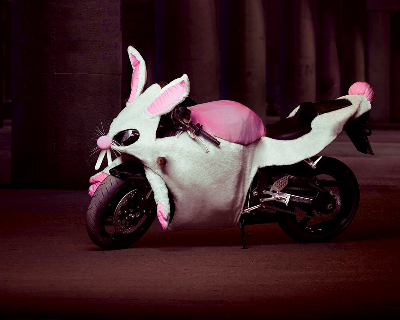 3d обои Мотоцикл в виде розового кролика  кролики # 49056