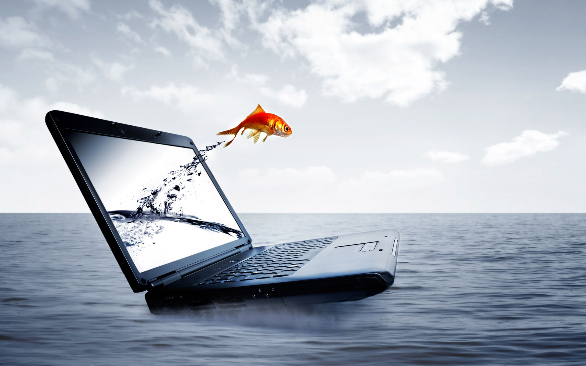 3d обои Ноутбук посреди океана, с его экрана выпрыгнула золотая рыбка  ретушь # 76441