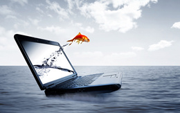 3d обои Ноутбук посреди океана, с его экрана выпрыгнула золотая рыбка  техника