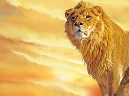 3d обои Лев на фоне золотистого неба  львы
