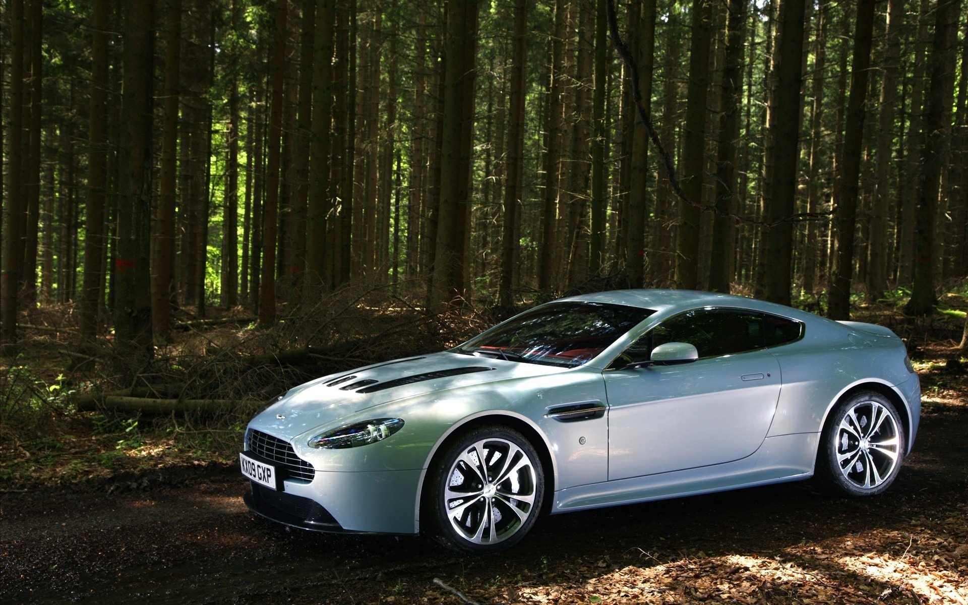 3d обои Aston Martin V12 Vantage в лесу  лес # 49438
