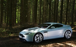 3d обои Aston Martin V12 Vantage в лесу  авто