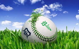 3d обои Мячик для бейсбола поросший травой (Play green)  спорт