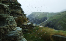 3d обои Паутина в каплях дождя на фоне горного пейзажа  макро