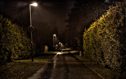 3d обои Ночная алея под дождём  дороги