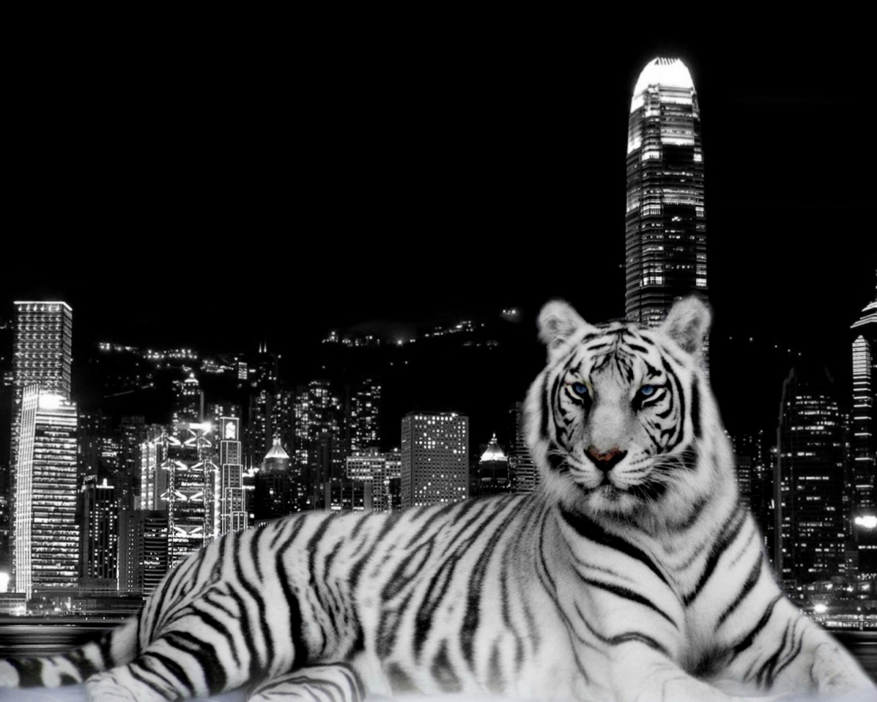 3d обои Тигр на фоне Лондона  черно-белые # 88706