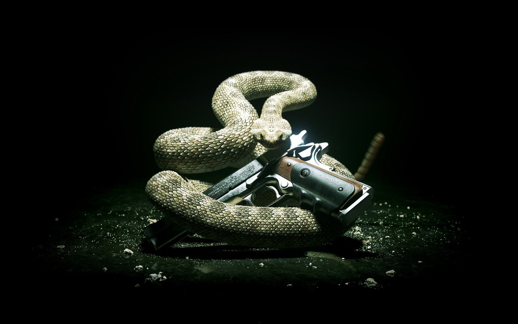 3d обои Змея с пистолетом  змеи # 41114