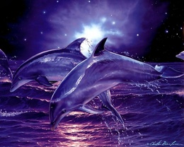3d обои Дельфины прыгают над волнами  животные