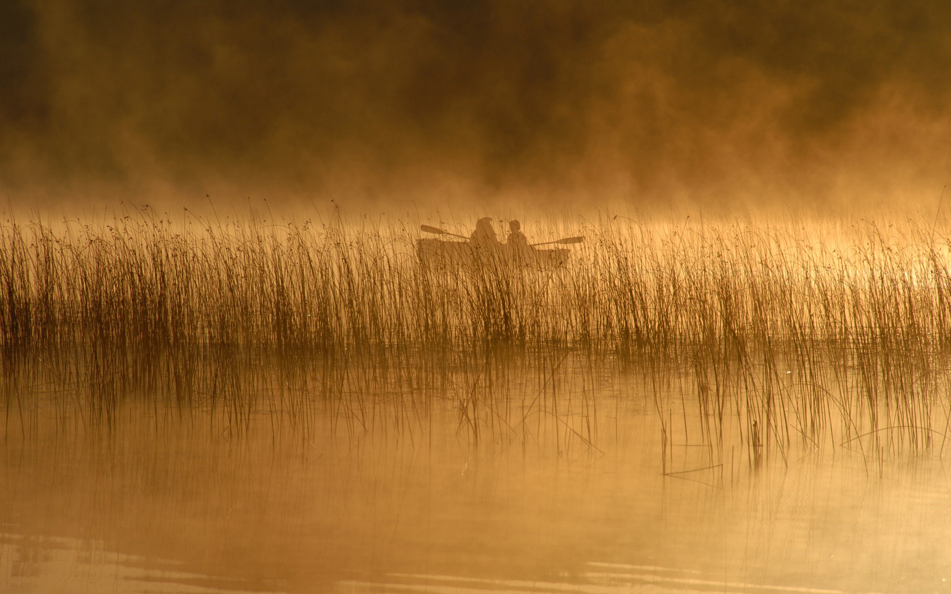 3d обои Лодка по среди реки в плотном тумане  ночь # 67503