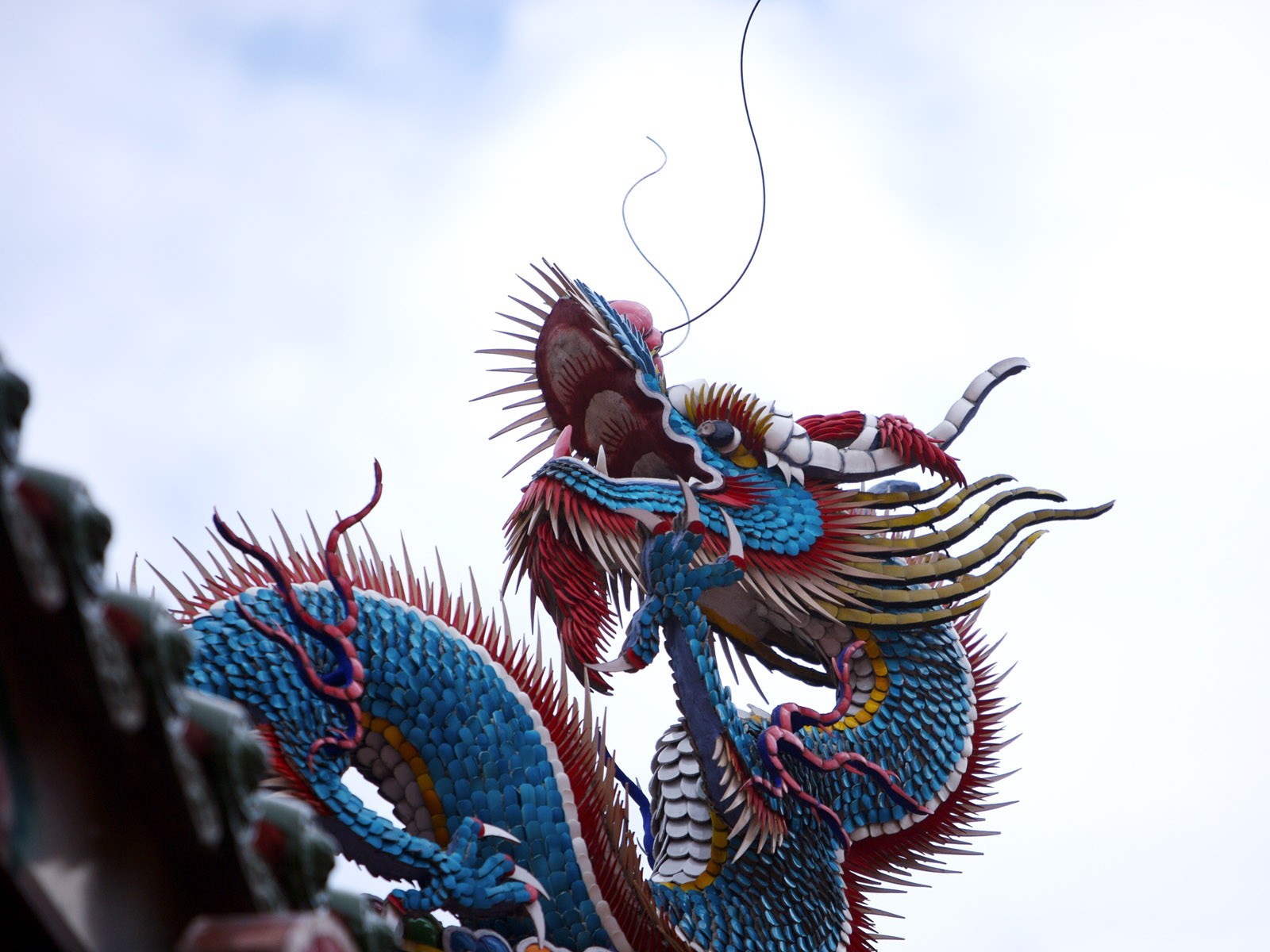 3d обои Китайский дракон на фоне неба  драконы # 35891