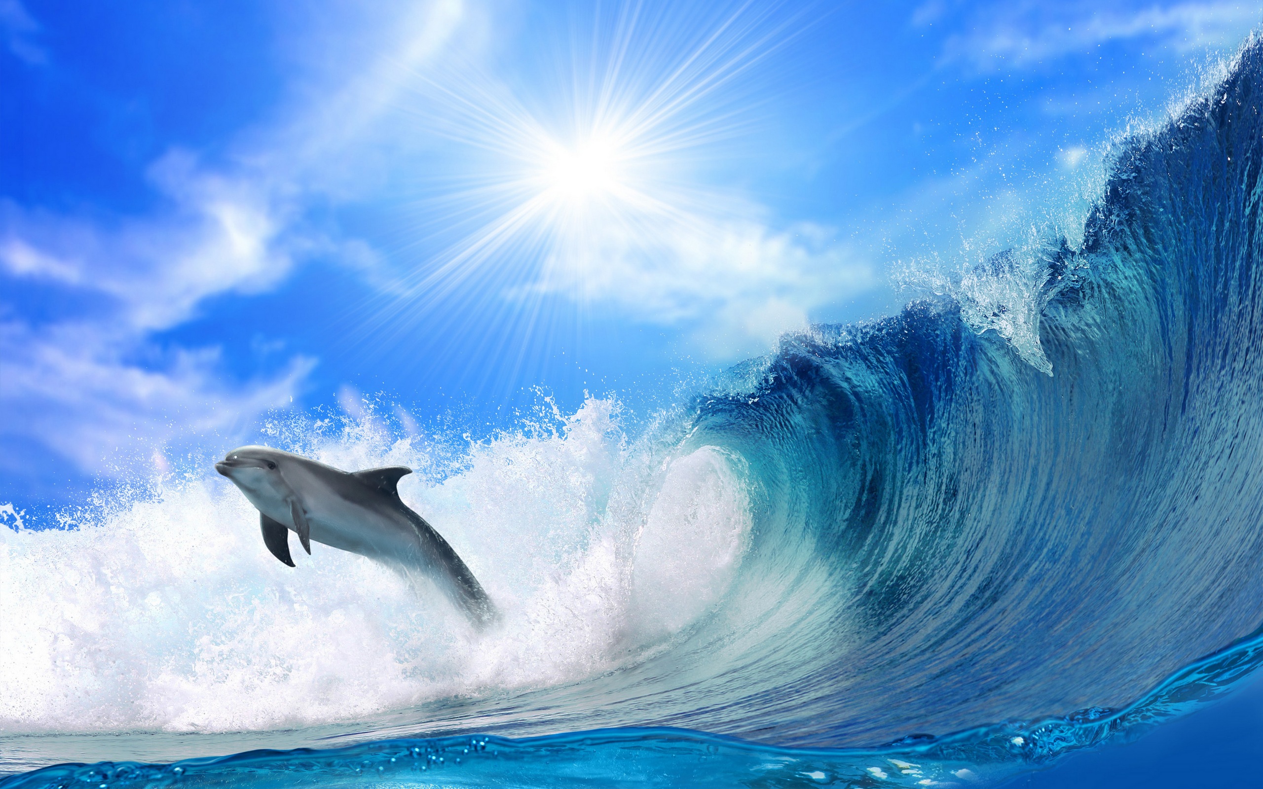 3d обои Дельфин плещется в морских волнах  солнце # 81654