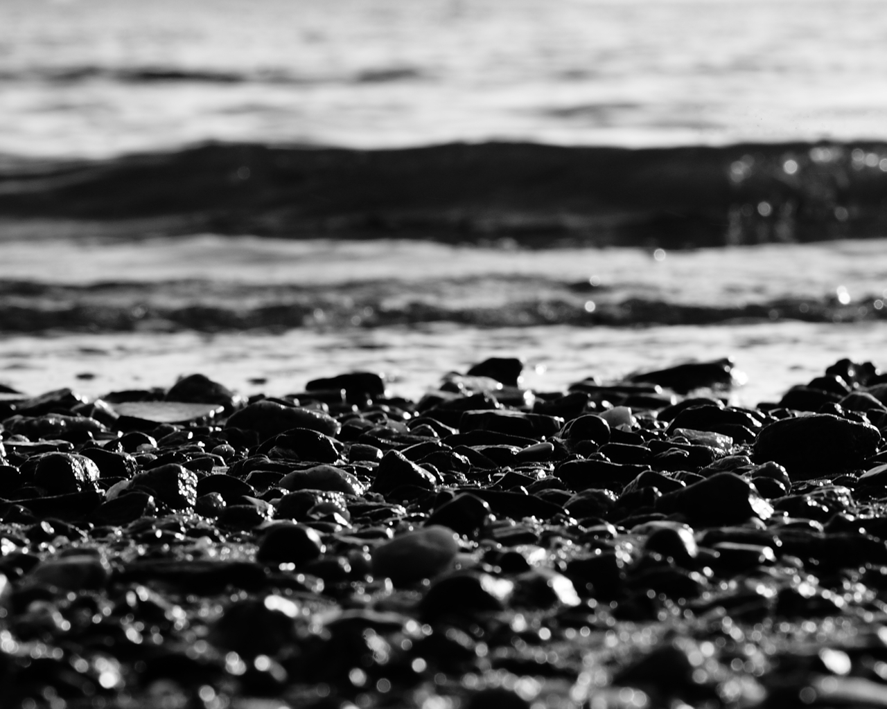 3d обои Каменистый берег моря  черно-белые # 88703