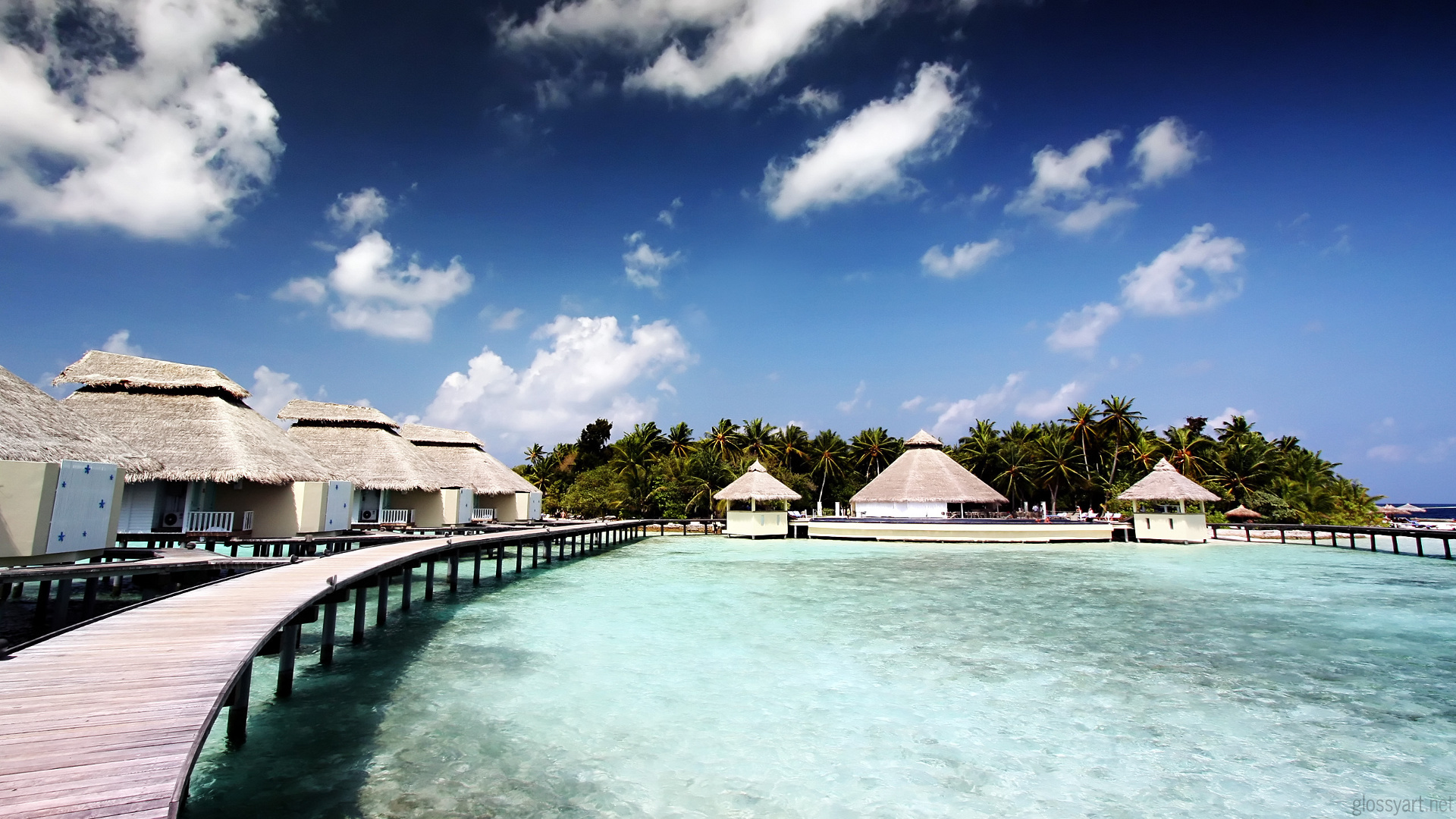 3d обои Бунгало и пальмовый лес  отель Chaaya Reef Ellaidhoo (Чая Риф Эллайдо) расположен на острове Эллайду в Северном Мале Атолле, Мальдивы  дома # 34851