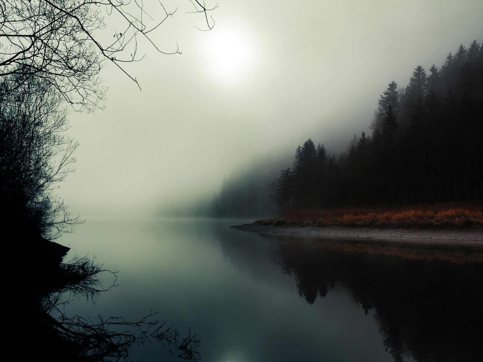 3d обои Вечерний туман над рекой проходящей сквозь лес  солнце # 81640