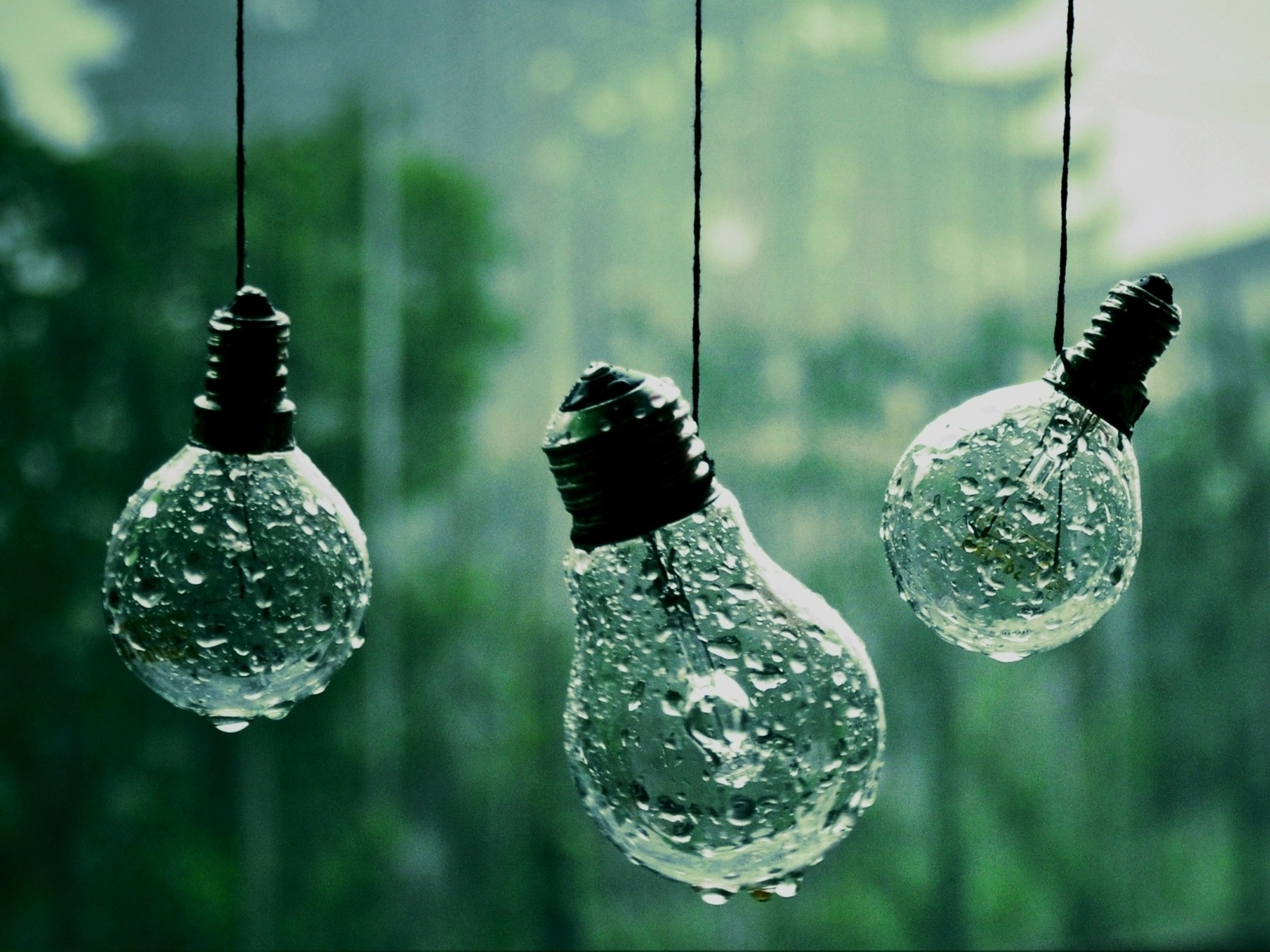 3d обои Три лампочки намокли под дождем  дождь # 34363