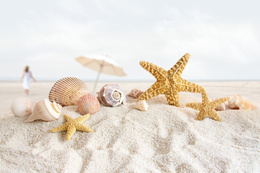 3d обои Морские звезды и ракушки на белом песке  4590х3060