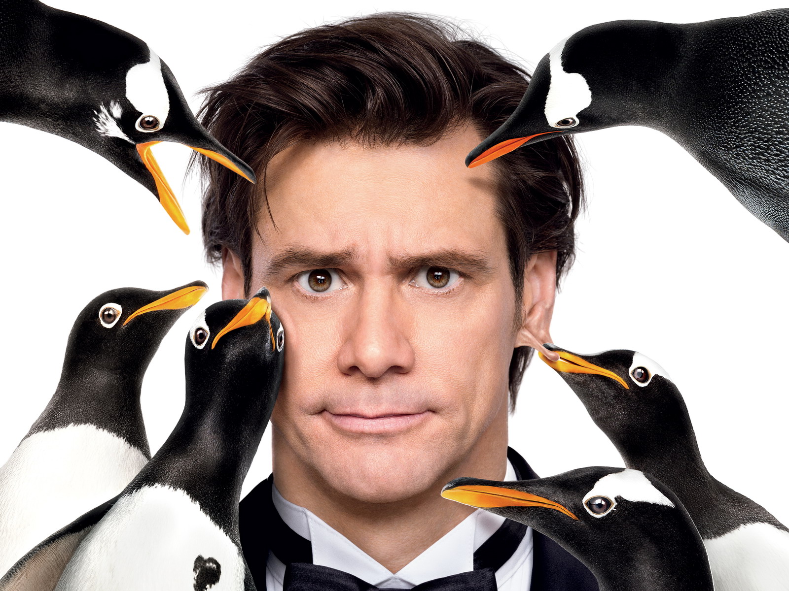 3d обои Джим Керри в окружении пингвинов, фильм Пингвины мистера Поппера  птицы # 75729