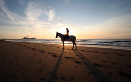 3d обои Девушка на лошади на пляже на закате  лошади