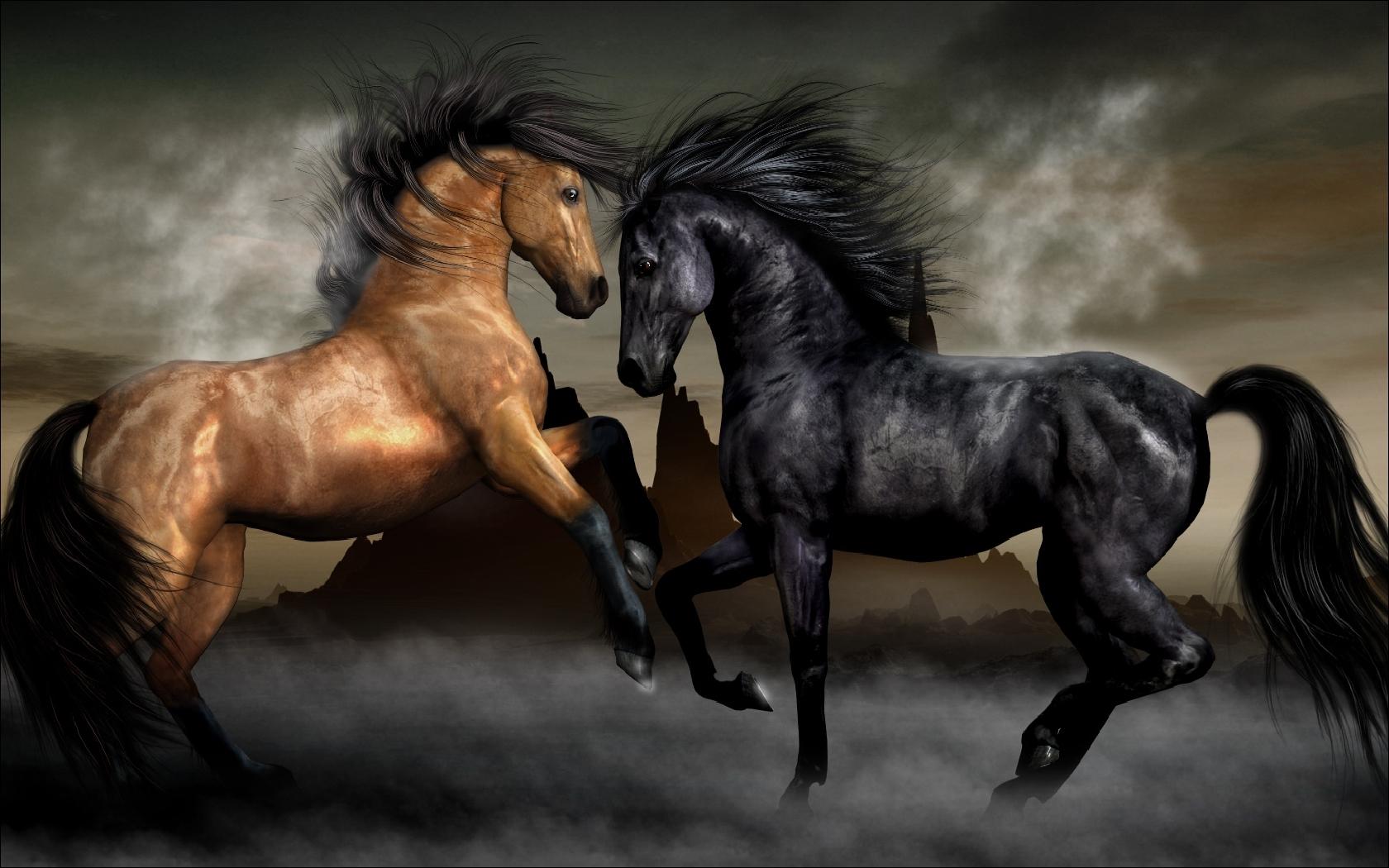 3d обои Противостояние рыжей и черной лошади  лошади # 51236