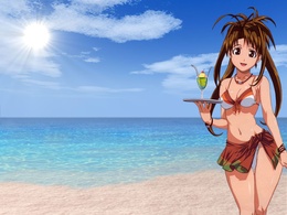 3d обои Нару Нарусегава на пляже с напитком на подносе, аниме Любовь и Хина  солнце