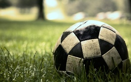 3d обои Футбольный мяч в траве  спорт