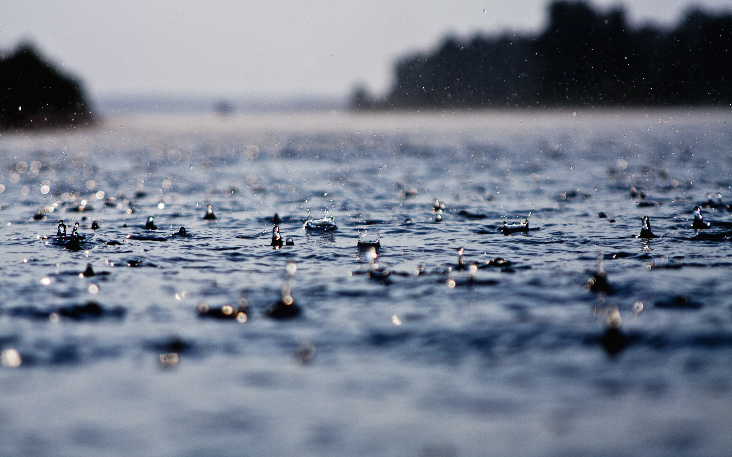 3d обои Капли дождя на воде  дождь # 34470