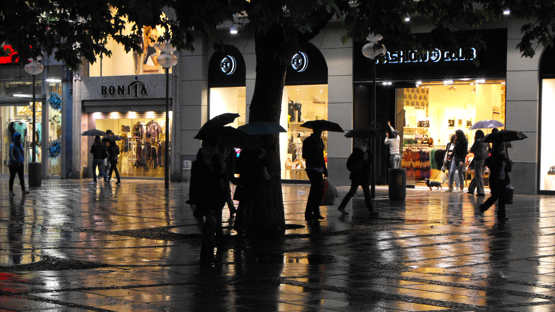 3d обои Дождь в городе. Люди под зонтами спешат по своим делам мимо витрин магазинов  животные # 38383