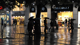 3d обои Дождь в городе. Люди под зонтами спешат по своим делам мимо витрин магазинов  собаки