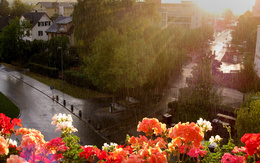 3d обои Чудесный вид на летний город с балкона, на котором цветет герань. Капли дождя орошают дороги, городские улицы и деревья  дома
