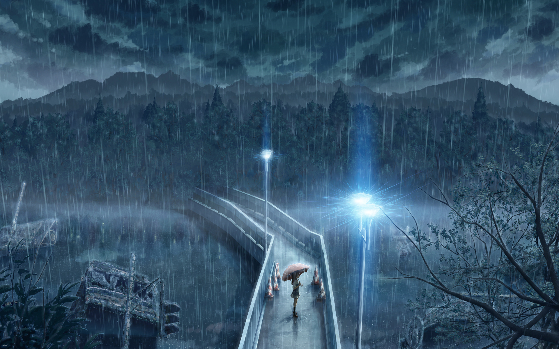 3d обои Девушка под зонтом на мосту смотрит в даль  ночь # 67481