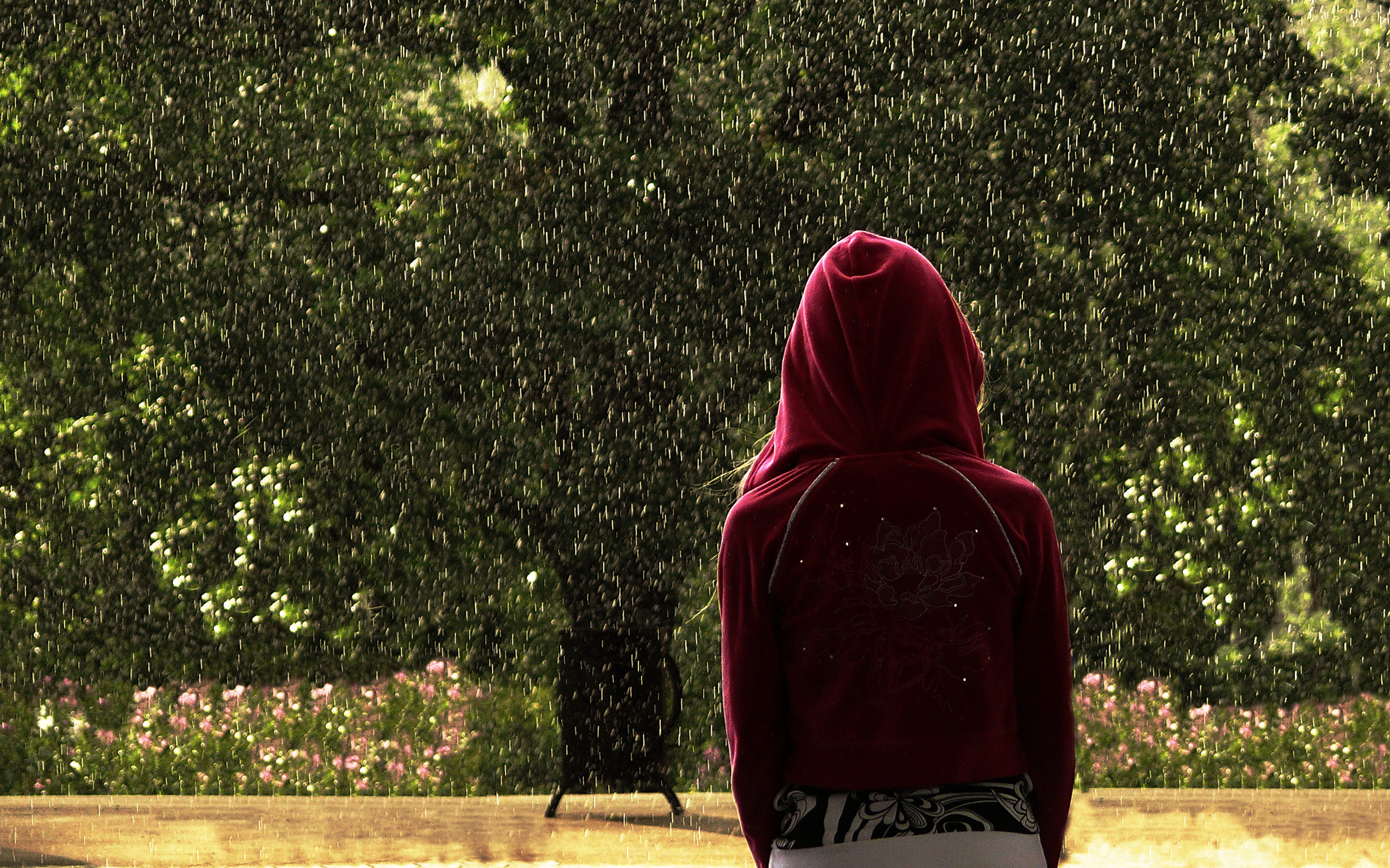 3d обои Солнечный дождь, и девушка в капюшоне стоит спиной  дождь # 34423