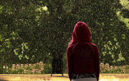 3d обои Солнечный дождь, и девушка в капюшоне стоит спиной  дождь