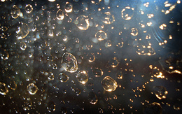 3d обои Капли дождя в макро, сияющие и переливающиеся капли  на солнечном свету  макро