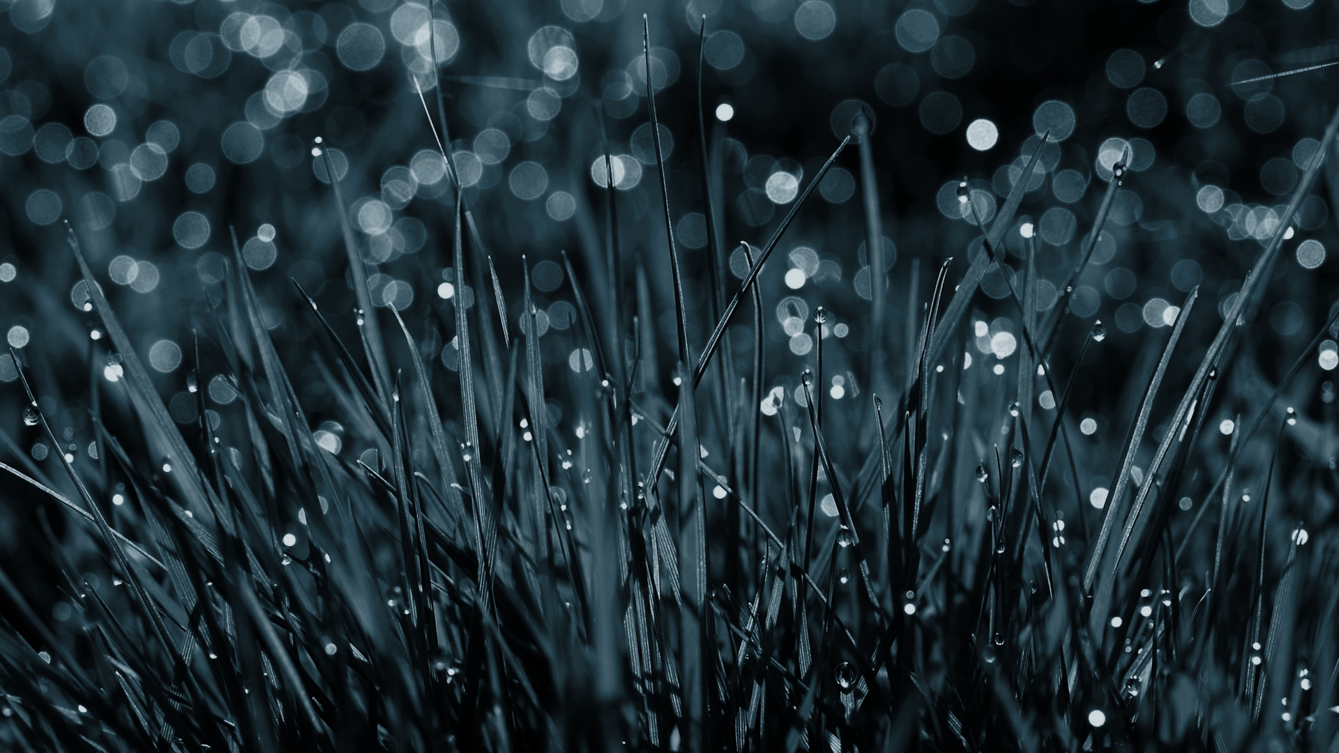 3d обои Дождь падает на траву  дождь # 34413