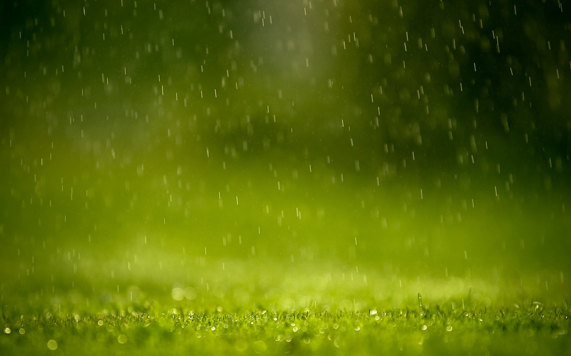 3d обои Дождь льёт на траву  минимализм # 54534