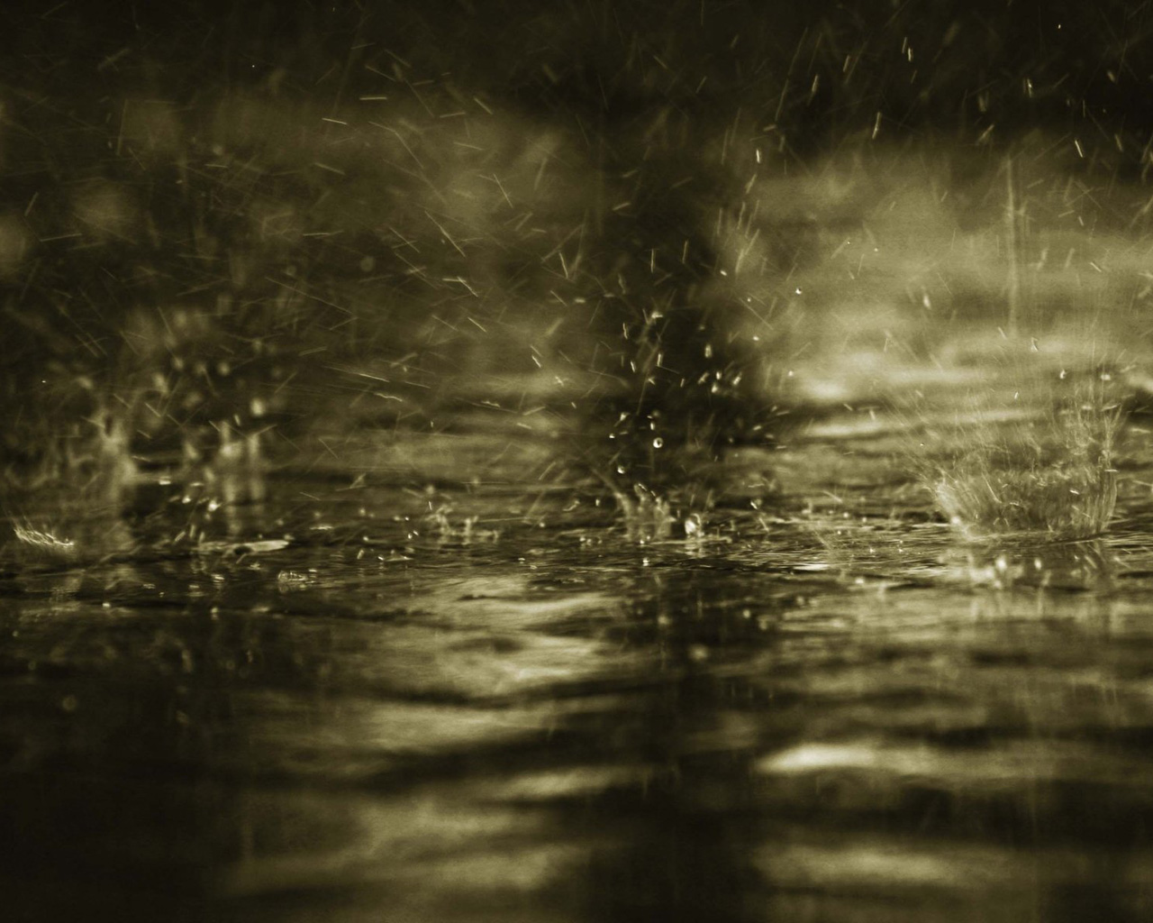 3d обои Дождь падает на озеро  дождь # 34410