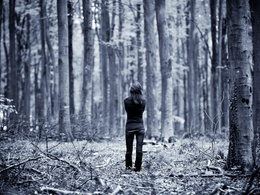 3d обои Девушка гуляет одна по лесу  1920х1440