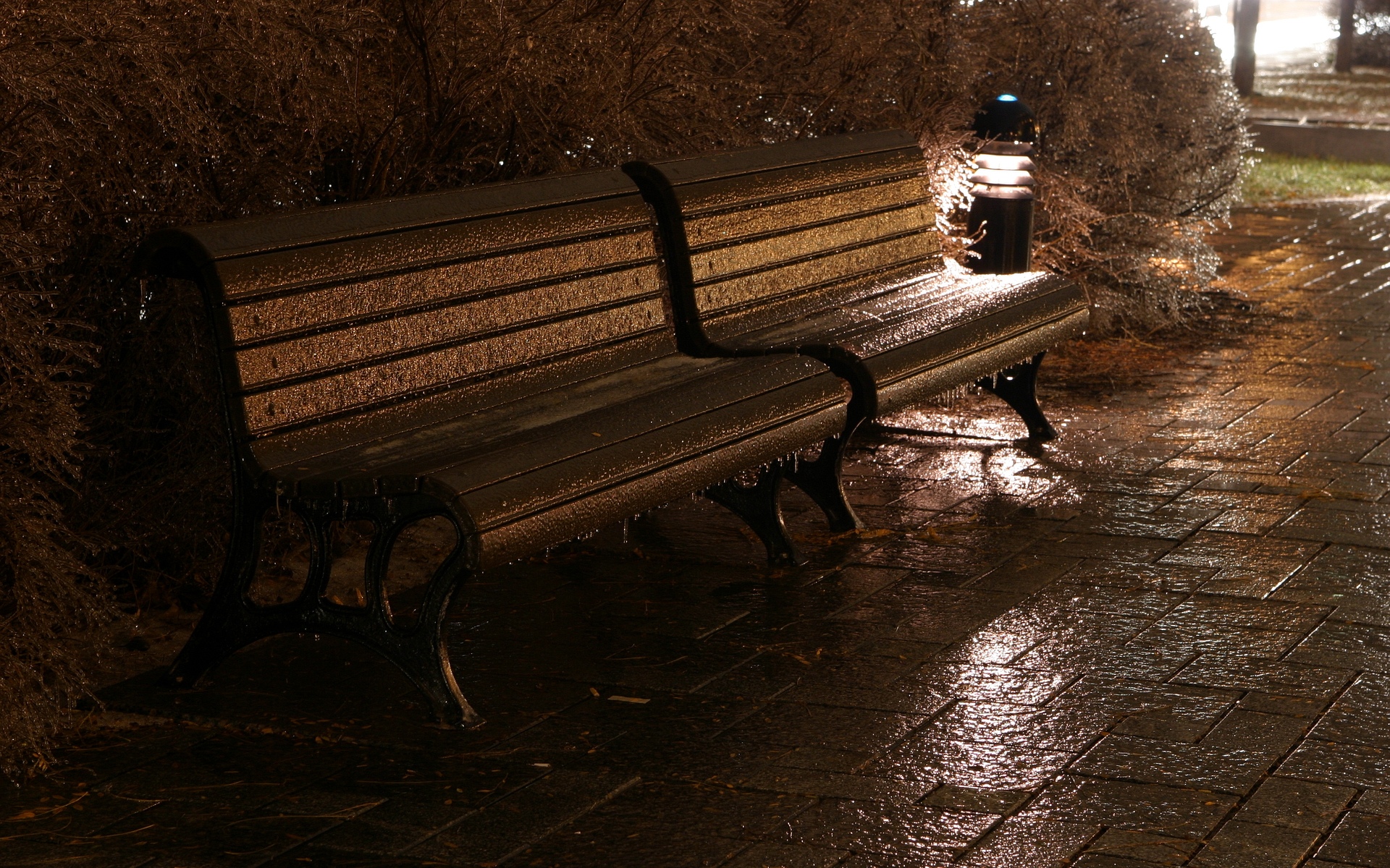 3d обои Скамейка в парке под дождем  капли # 44221