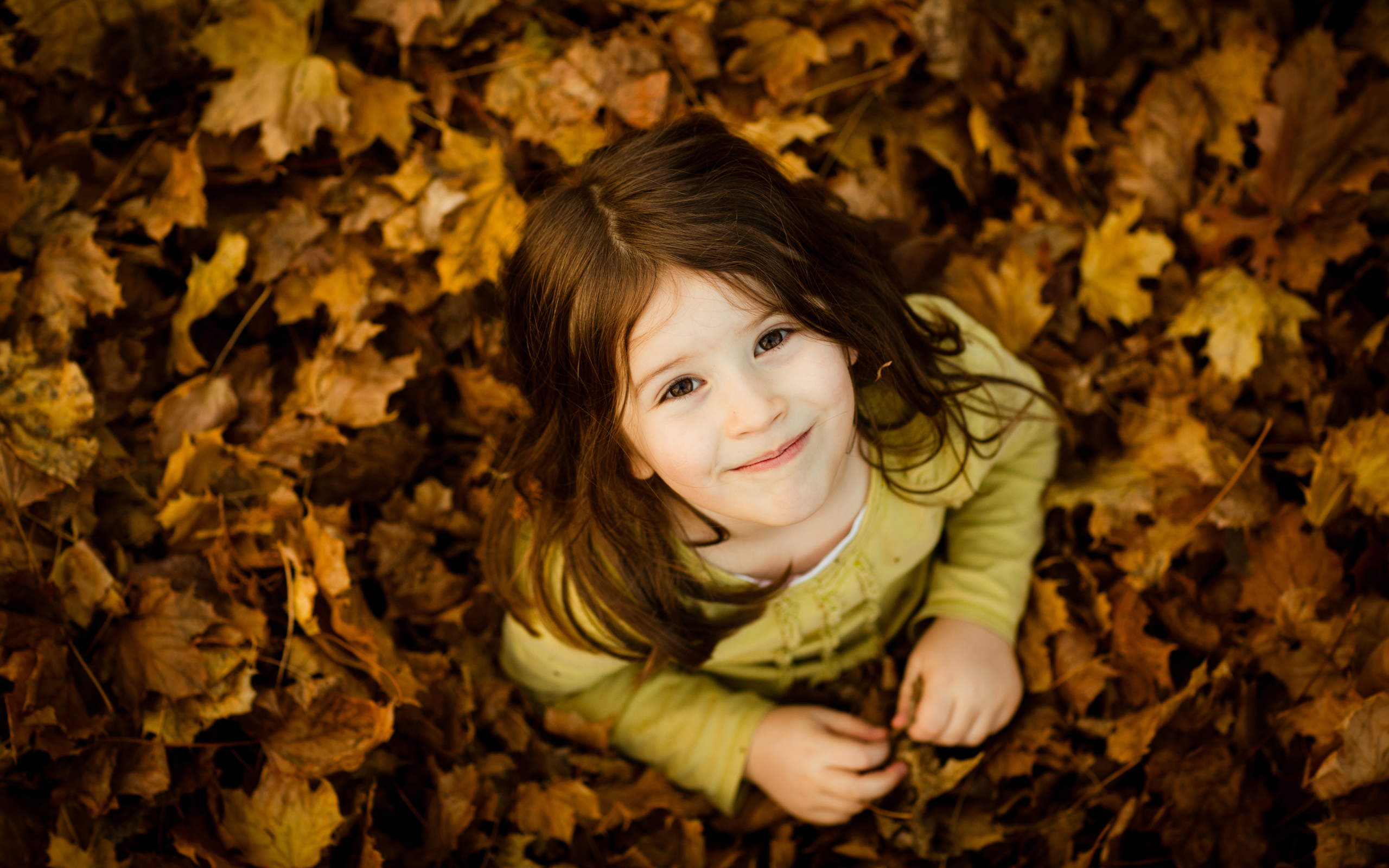 3d обои Девочка в опавших листьях  осень # 68232