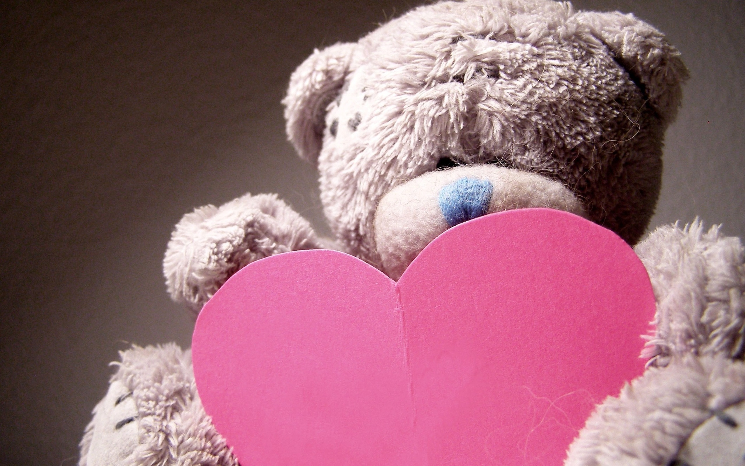3d обои Мишка Teddy с розовым сердечком в лапках  игрушки # 41362