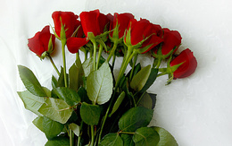 3d обои Букет красных роз  цветы